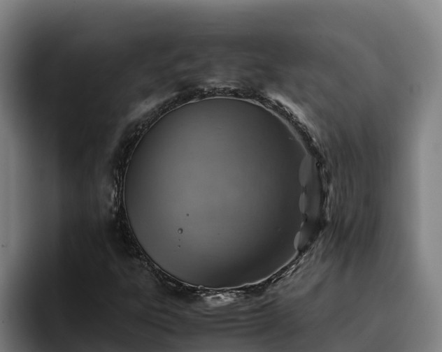 X0000094951303200712061243