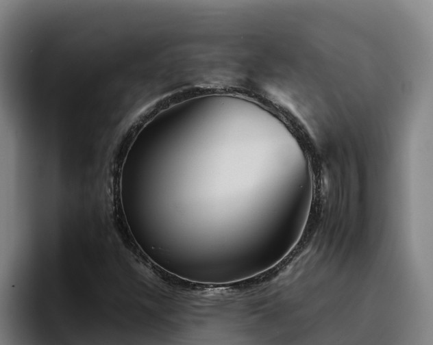 X0000094951304200712061243