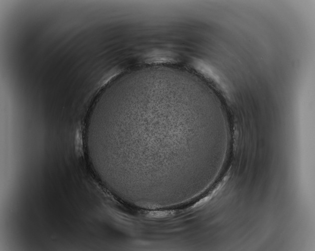 X0000094951305200712061243