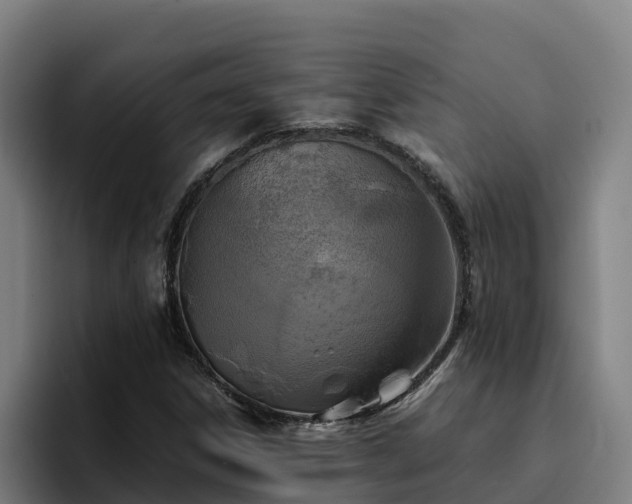 X0000094951306200712061243