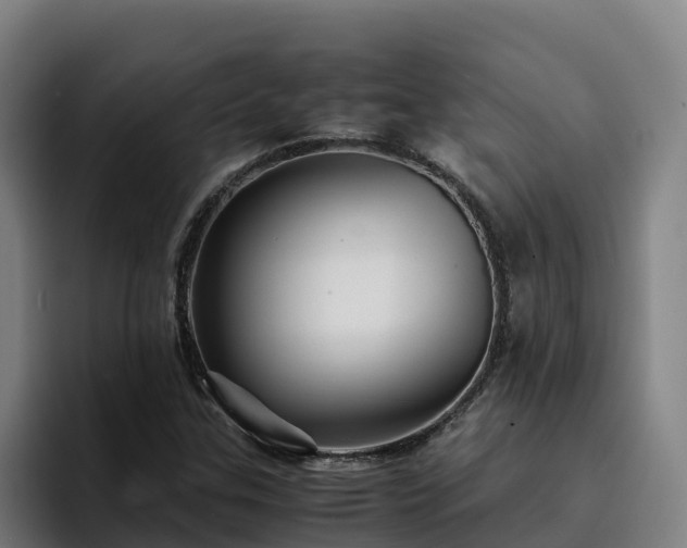 X0000094951307200712061243