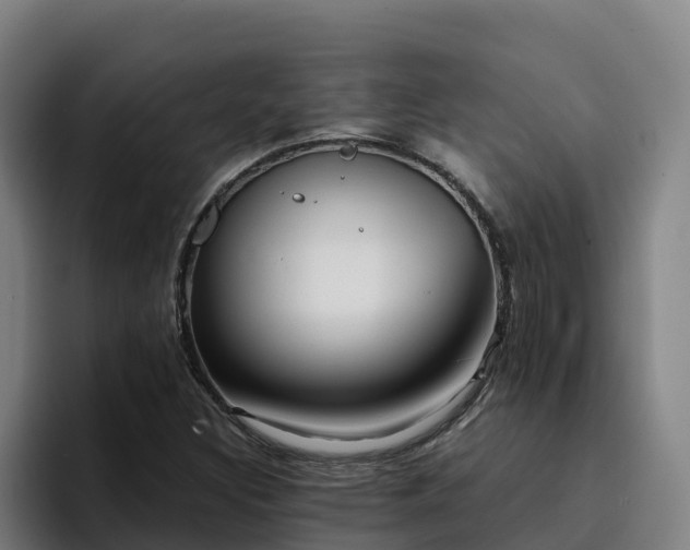 X0000094951308200712061243