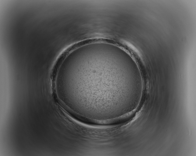 X0000094951310200712061243