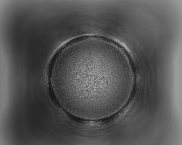 X0000094951311200712061243