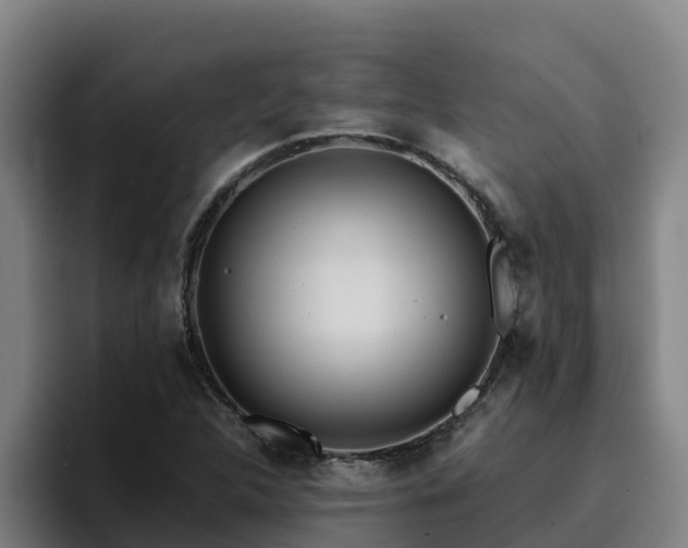 X0000094951312200712061243