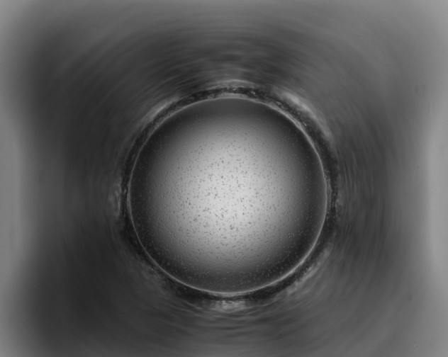 X0000094951313200712061243