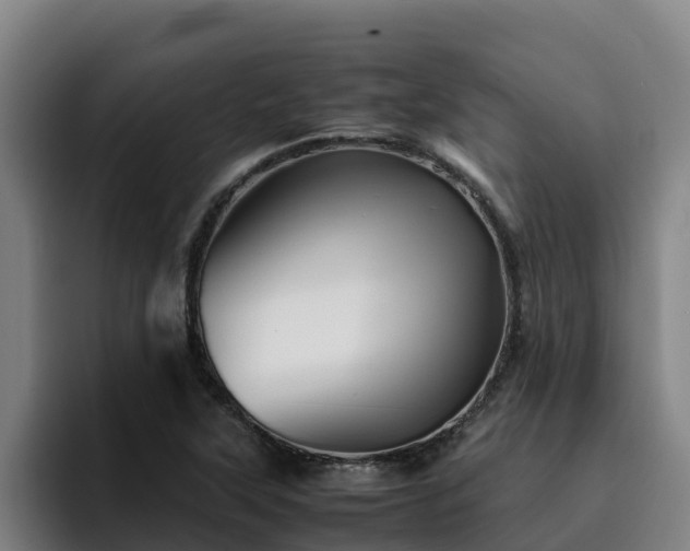 X0000094951315200712061243