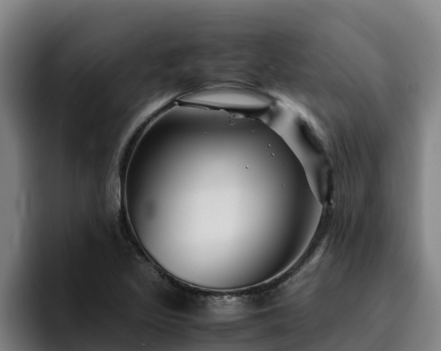 X0000094951317200712061243