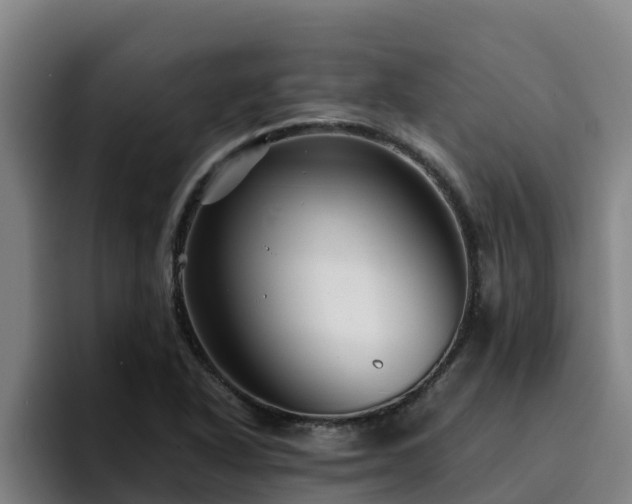 X0000094951318200712061243