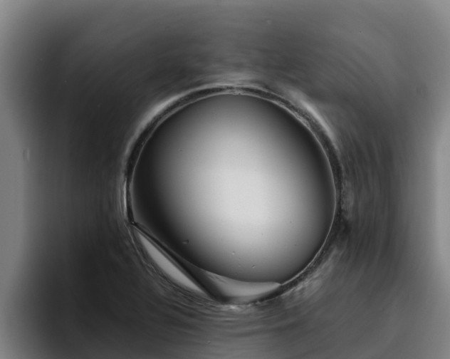 X0000094951320200712061243