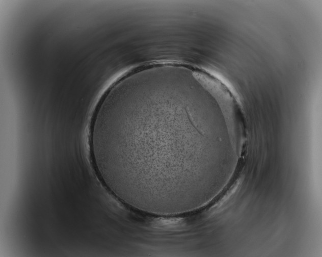 X0000094951325200712061243