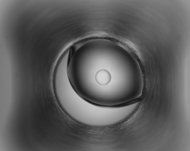 X0000094951326200712061243