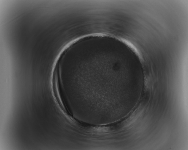 X0000094951327200712061243