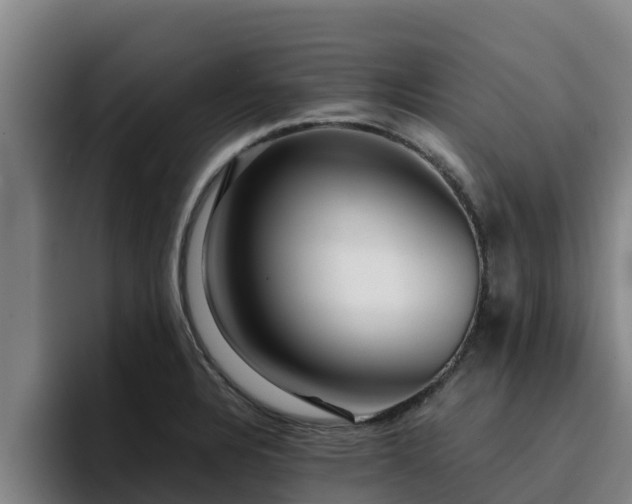 X0000094951328200712061243