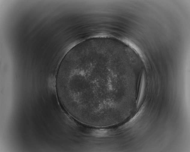 X0000094951329200712061243