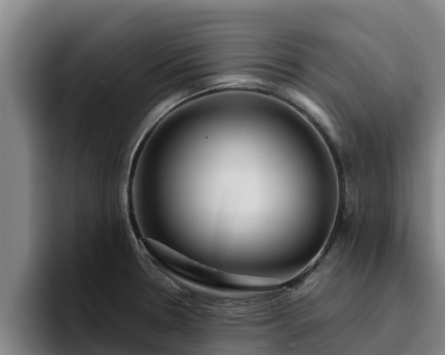 X0000094951330200712061243