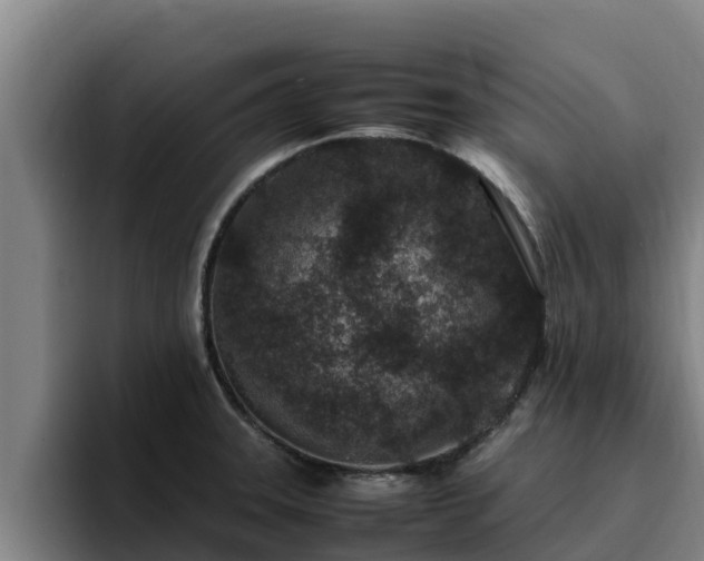 X0000094951331200712061243