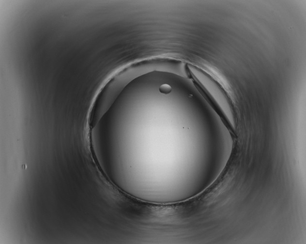 X0000094951332200712061243