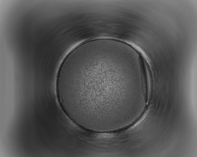 X0000094951333200712061243