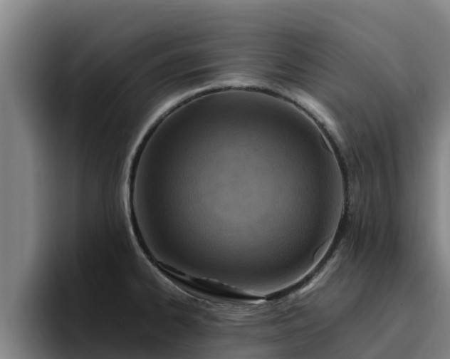 X0000094951334200712061243