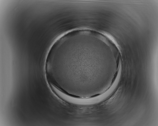 X0000094951335200712061243