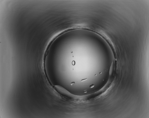 X0000094951336200712061243