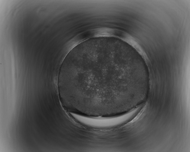 X0000094951337200712061243