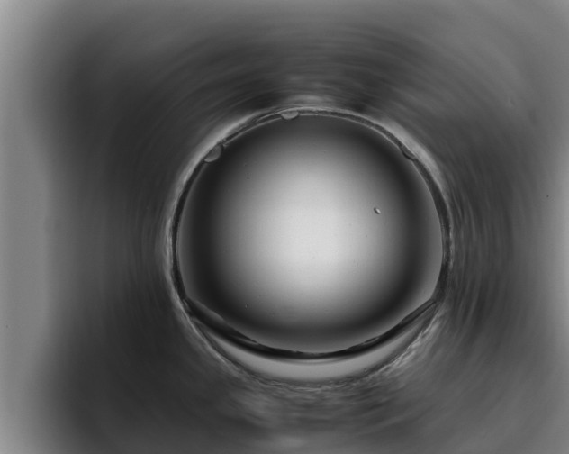 X0000094951341200712061244