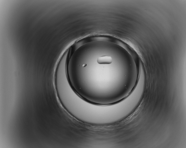 X0000094951342200712061244