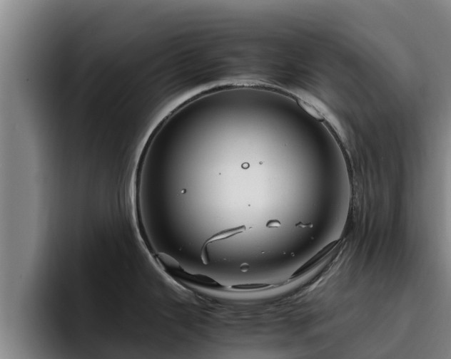 X0000094951343200712061244