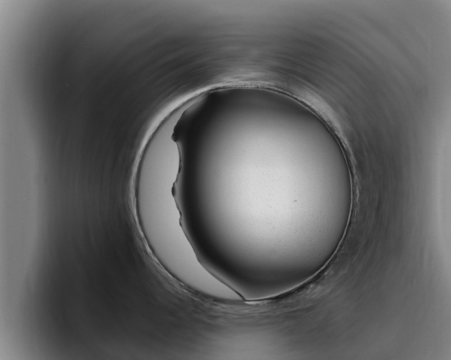 X0000094951344200712061244