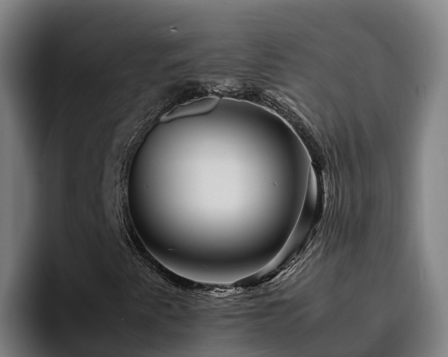 X0000094951345200712061243