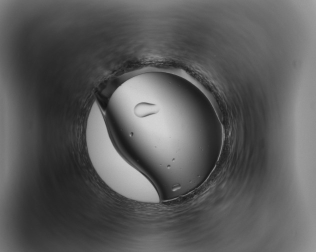 X0000094951348200712061243