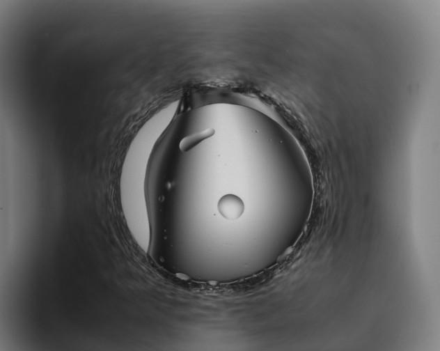 X0000094951349200712061243