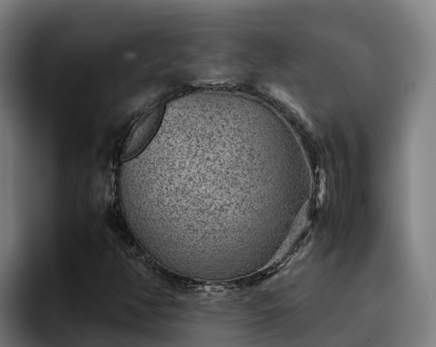 X0000094951350200712061243