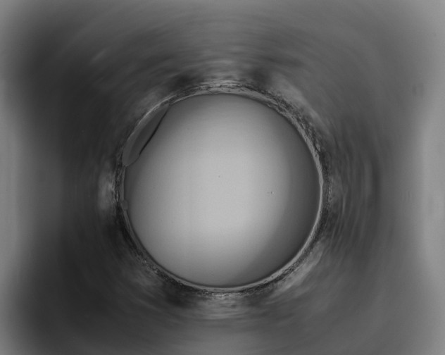 X0000094951353200712061243