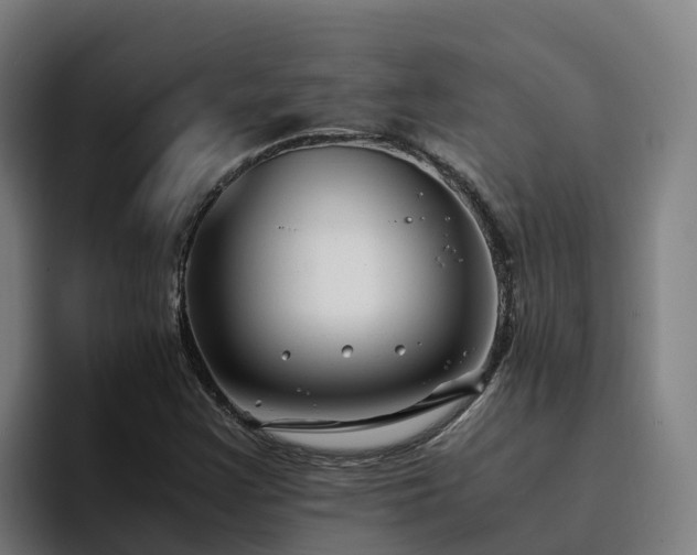 X0000094951355200712061243