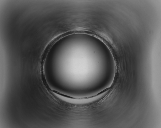 X0000094951356200712061243