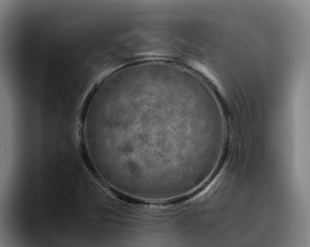 X0000094951357200712061243