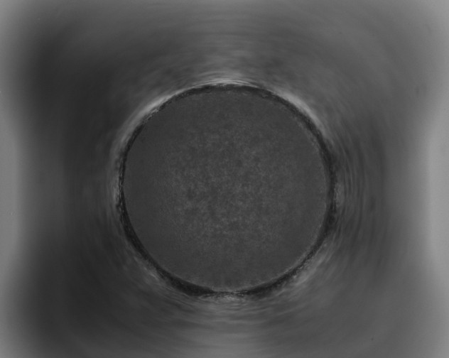 X0000094951359200712061243