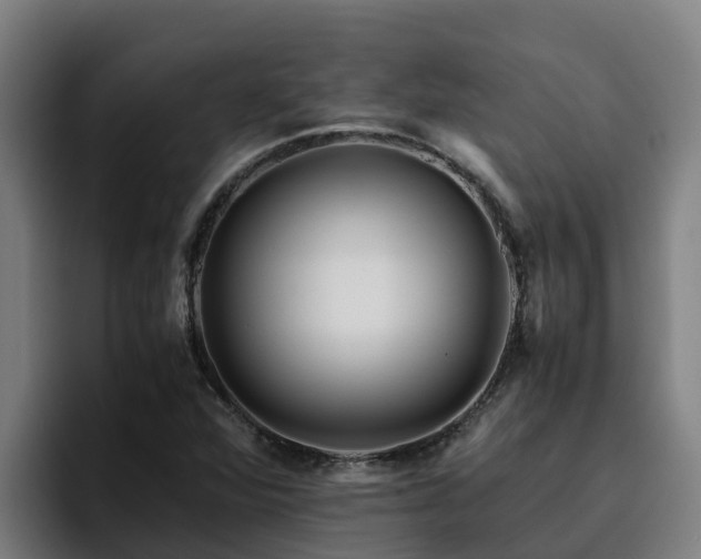 X0000094951360200712061243