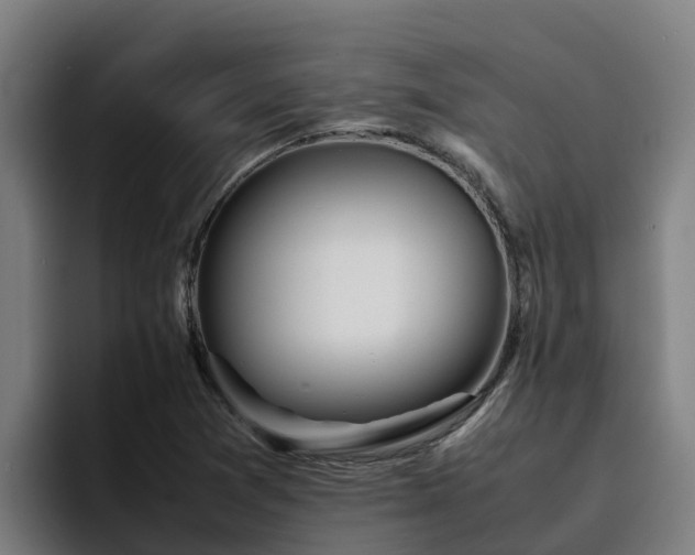 X0000094951361200712061243