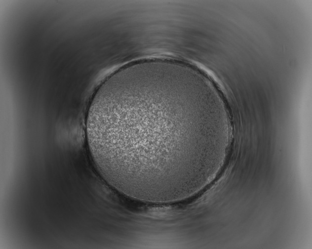 X0000094951363200712061243