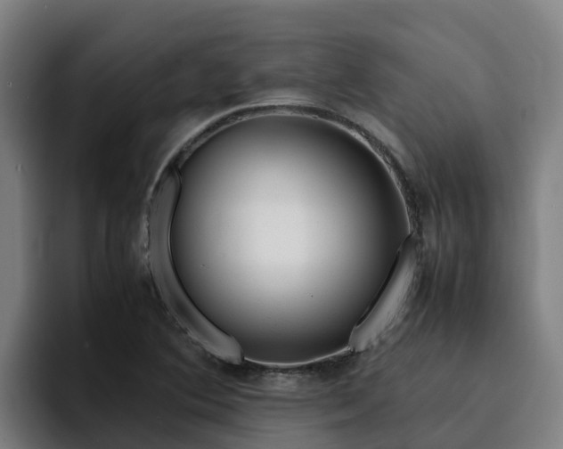 X0000094951364200712061243