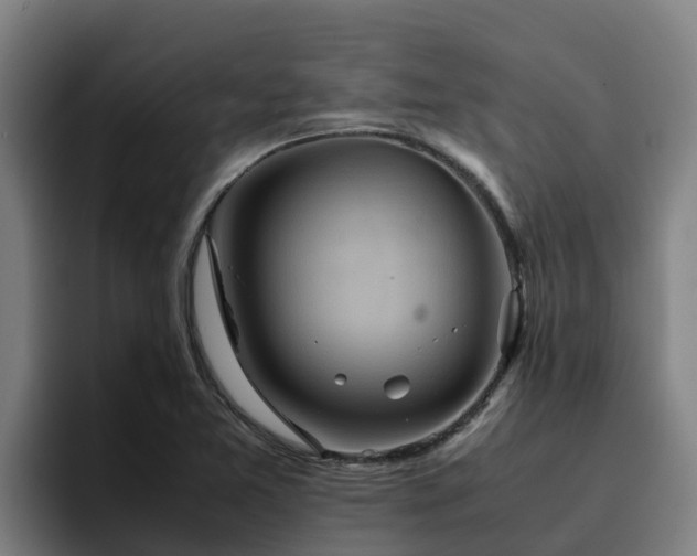 X0000094951365200712061243