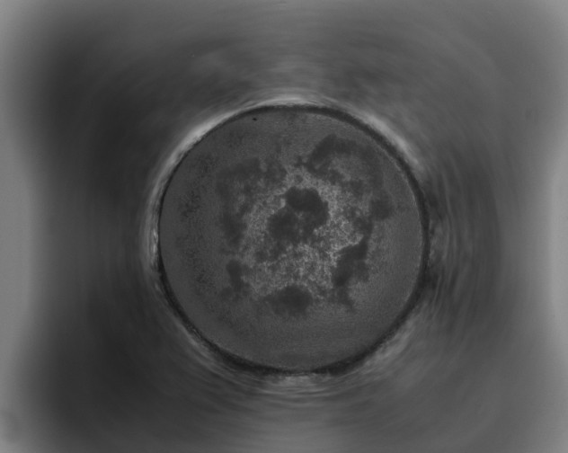 X0000094951367200712061243