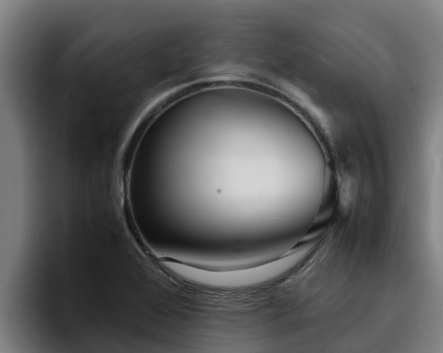 X0000094951368200712061243