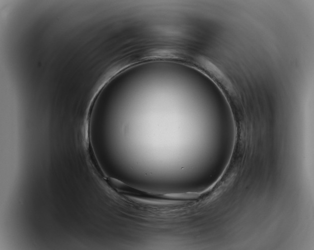 X0000094951370200712061243