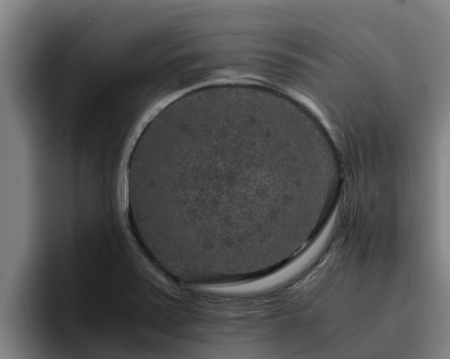 X0000094951371200712061243