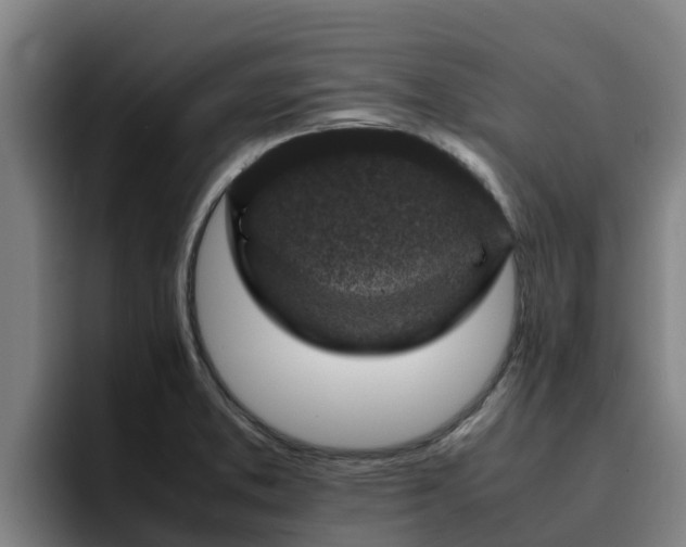 X0000094951373200712061243